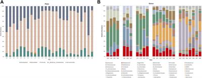 Longitudinal Multi-Omics Study of a Mother-Infant Dyad from Breastfeeding to Weaning: An Individualized Approach to Understand the Interactions Among Diet, Fecal Metabolome and Microbiota Composition